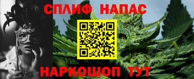 сатива Тверь
