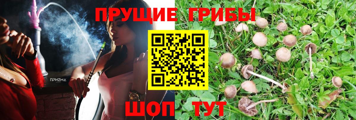 Галлюциногенные грибы Psilocybe  Вход с VPN  Белогорск  Псилоцибиновые грибы Magic Shrooms 